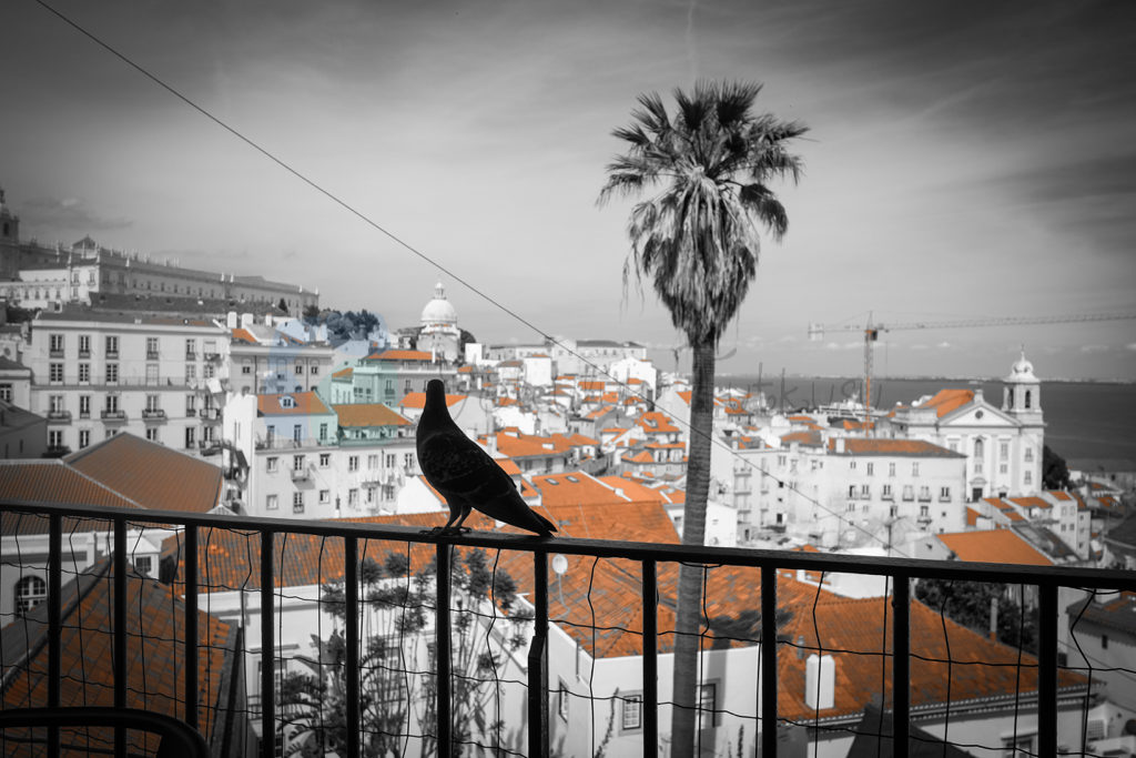 Lizbon Alfama Lizbon Gezi rehberi