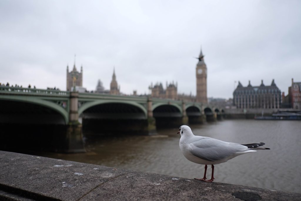 Thames ve Londra
