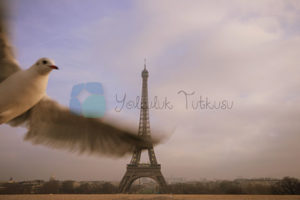 Eifflel Kulesi Paris'in simgesi