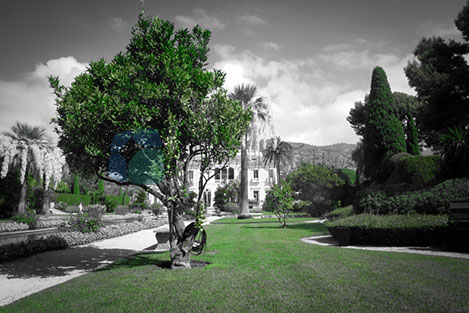 Provence - Cote d'Azur Gezi Rehberi