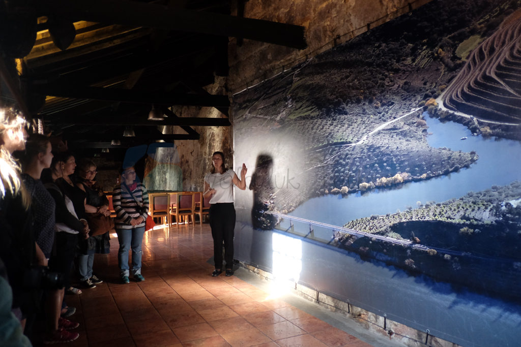 Porto Gezi Rehberi