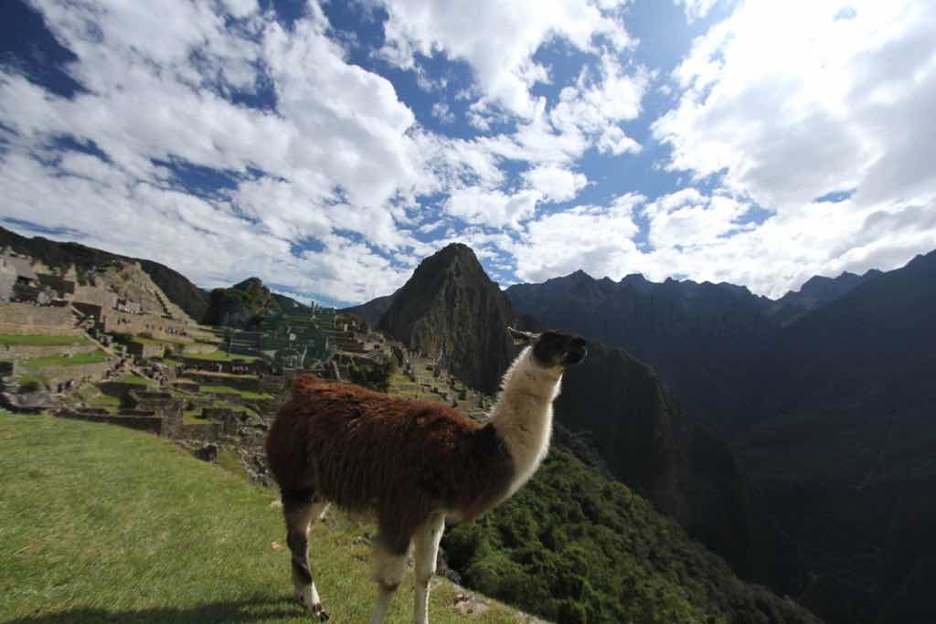 Machu Picchu