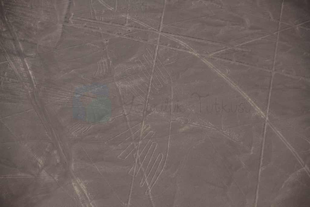 Nazca çizgileri