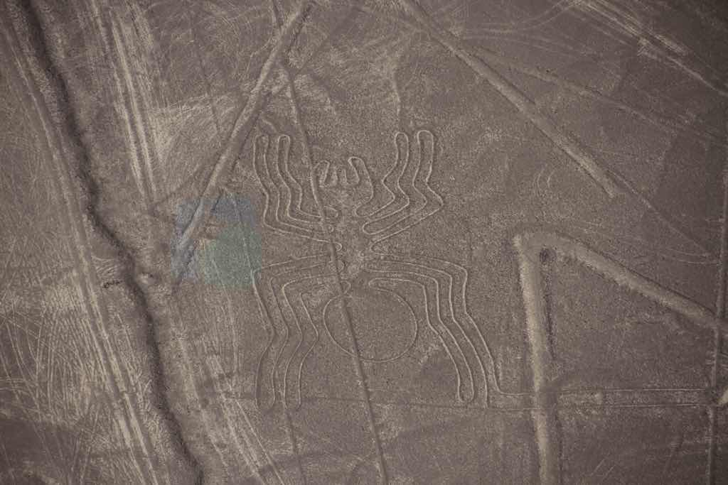 Nazca çizgileri