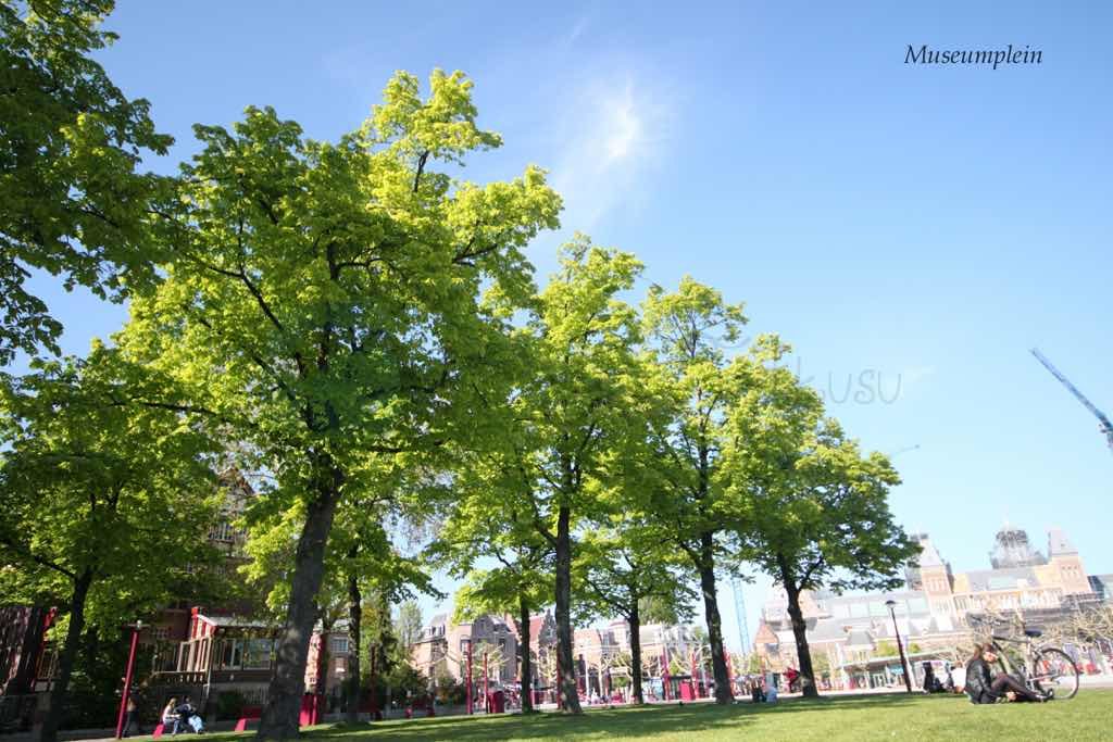 amsterdam gezi rehberi
