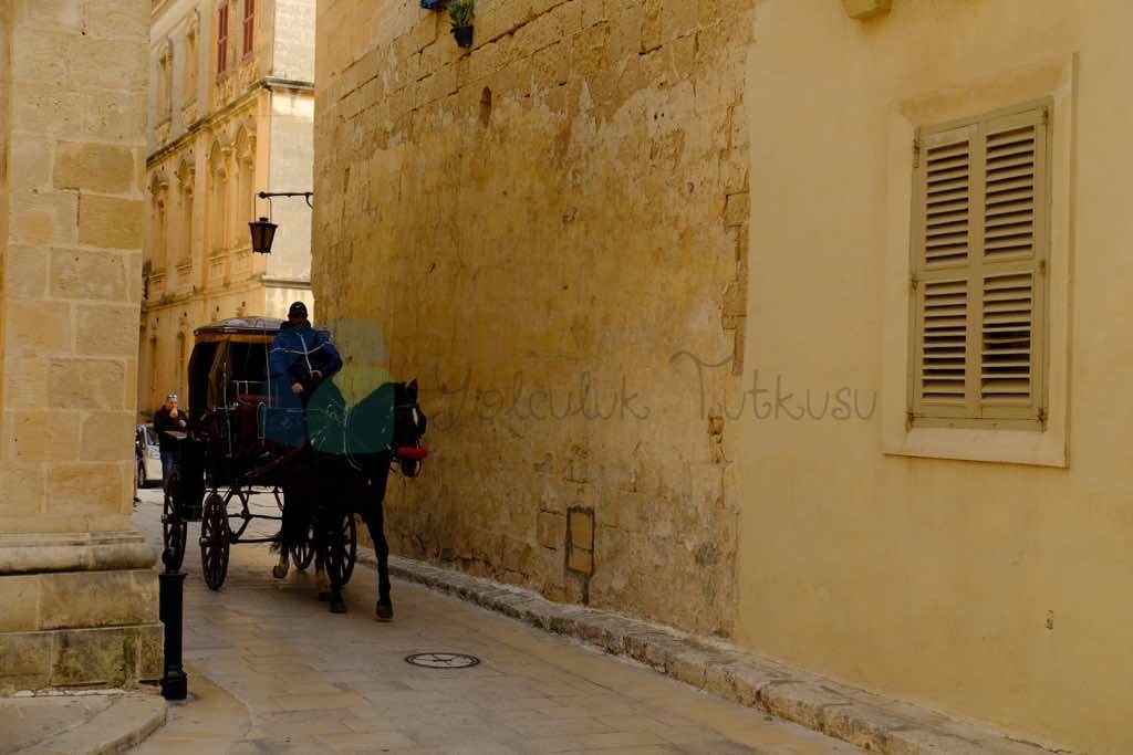 Mdina