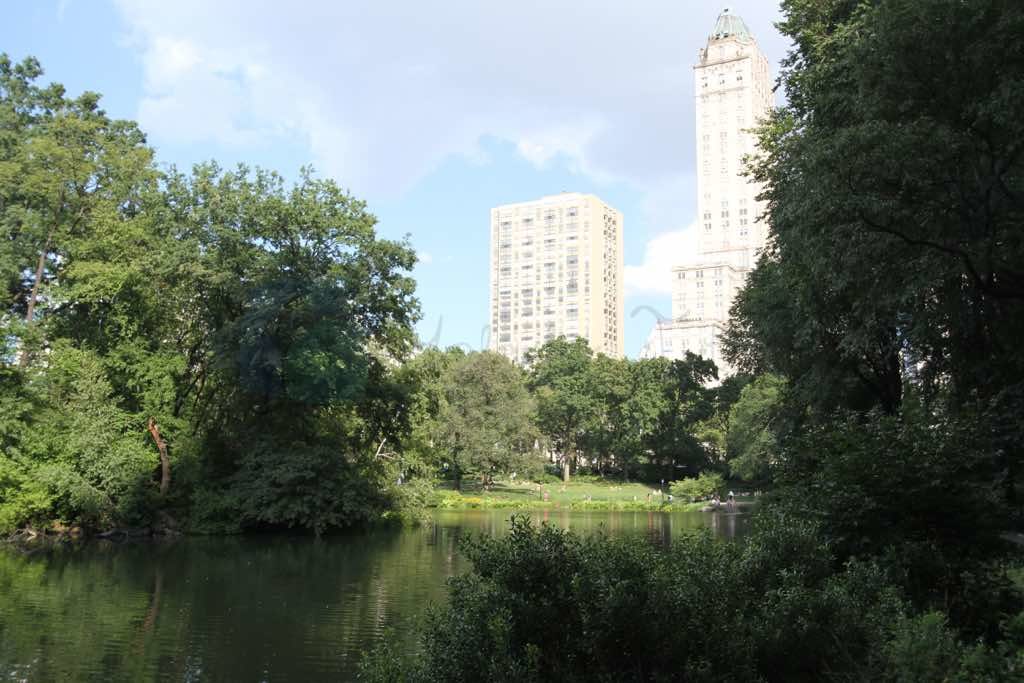 Central Park New York un hava aldığı yer