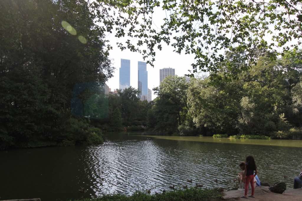 Central Park New York un akciğeri