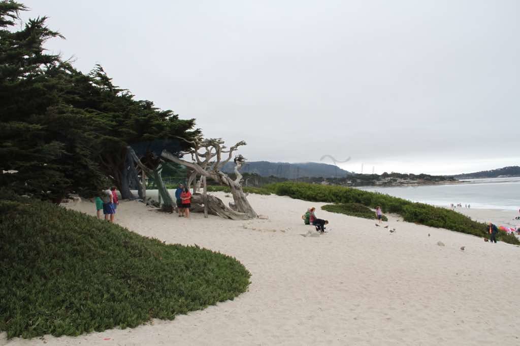 Carmel