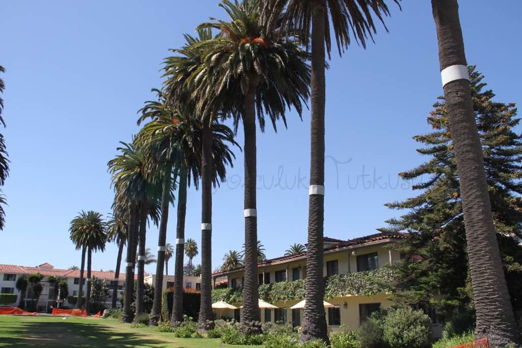 Santa Barbara