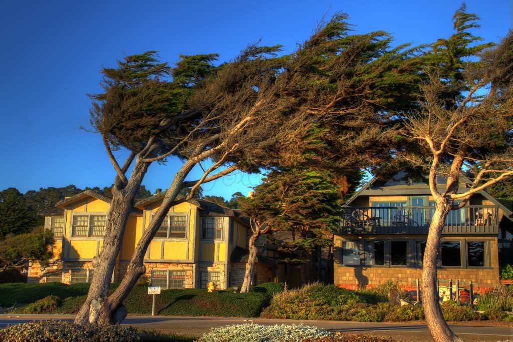 Cambria