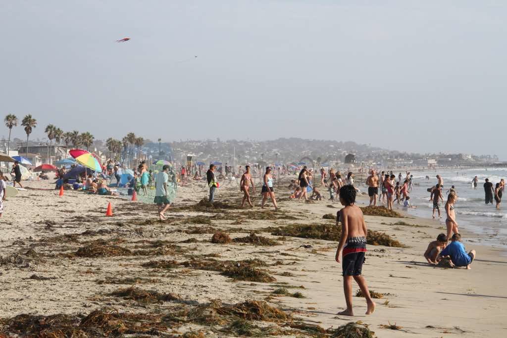 Mission Beach
