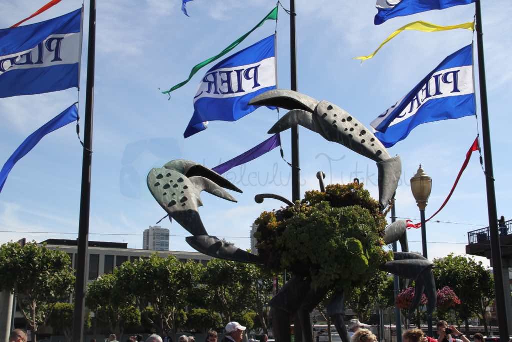 Pier 39