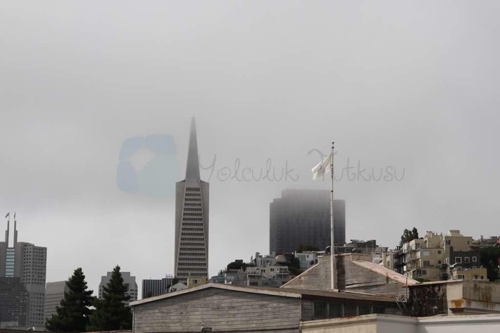 Transamerica Pyramid