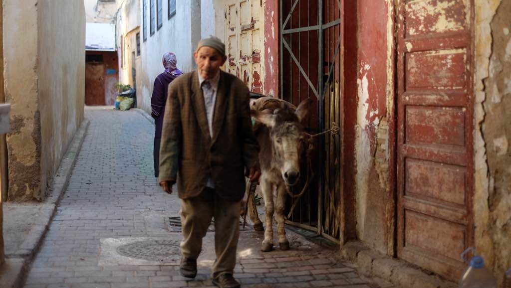 Fes Sokakları