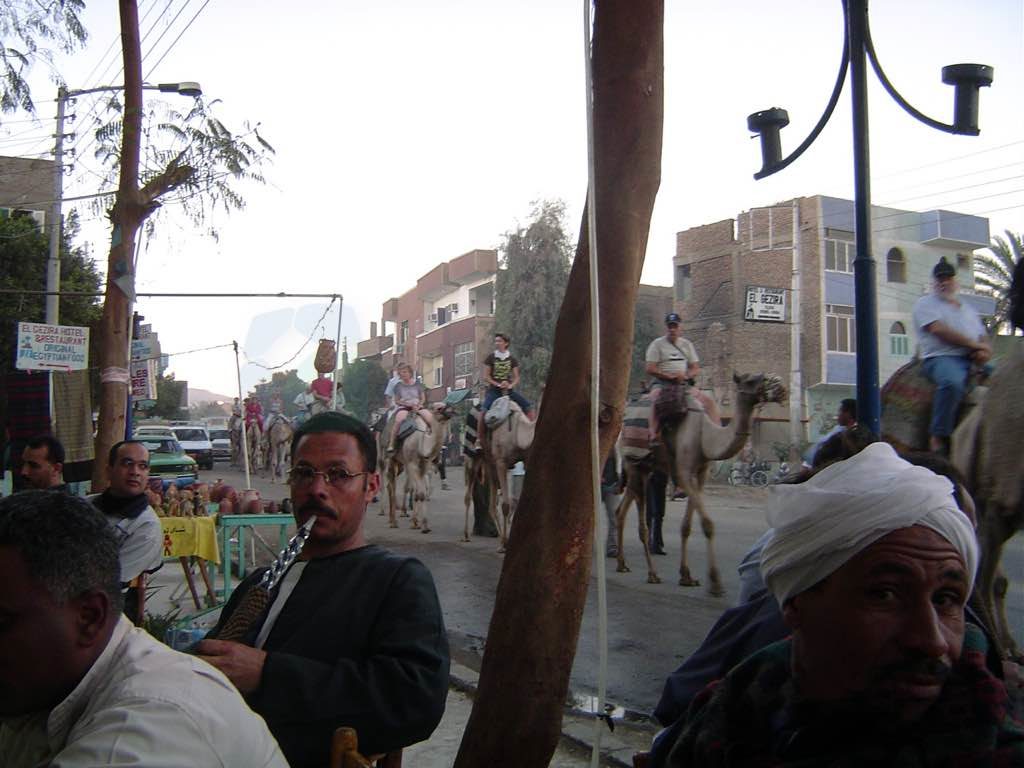 Deve turu yapan turistler