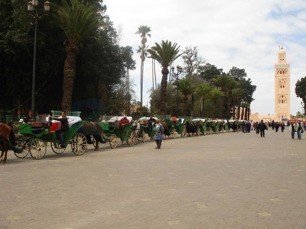 Koutoubia Caminin yakınında Caleche'ler