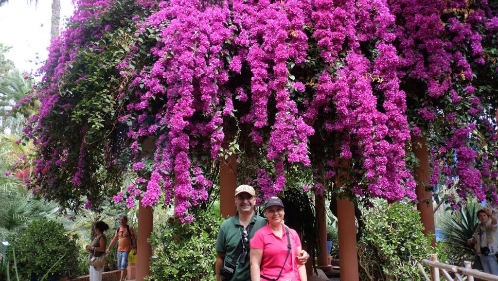 Jardin Majorelle