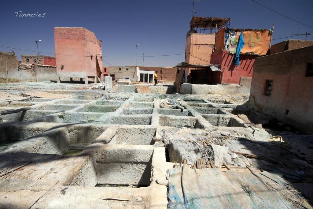 Marrakech Tanneries