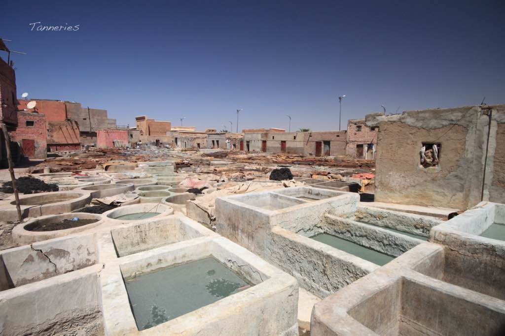 Marrakech Tanneries