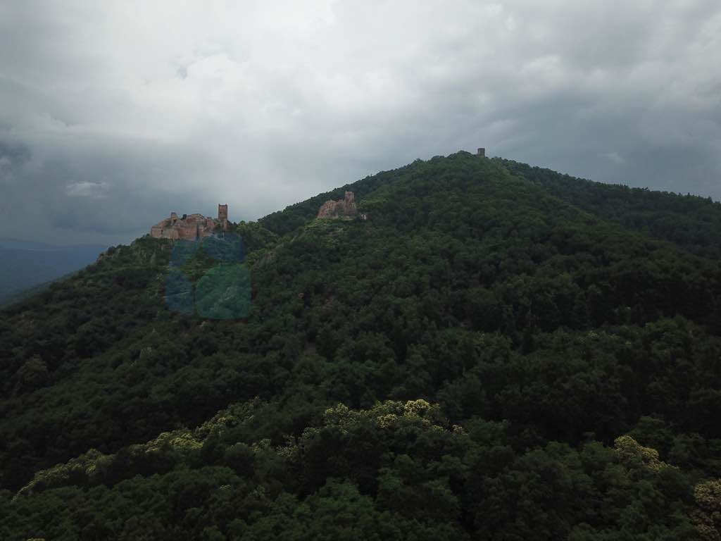 Ribeauville Gezi Rehberi
