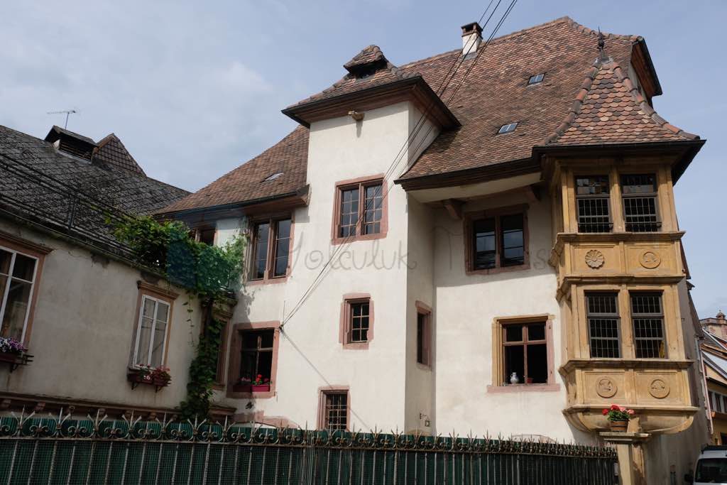 Oriole House