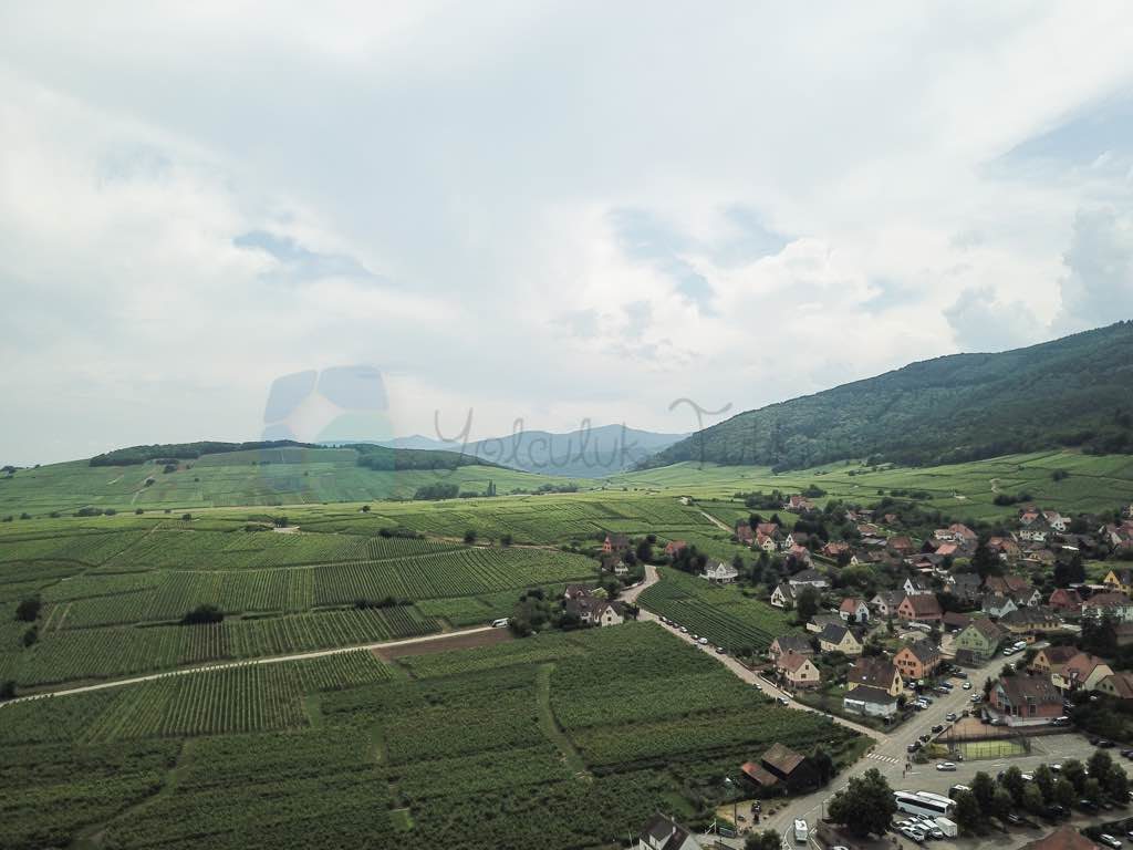 Riquewihr Gezi Rehberi