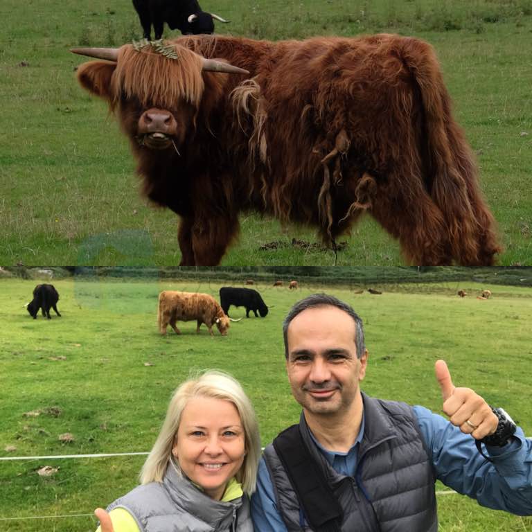 Hairy Coo ve biz :)