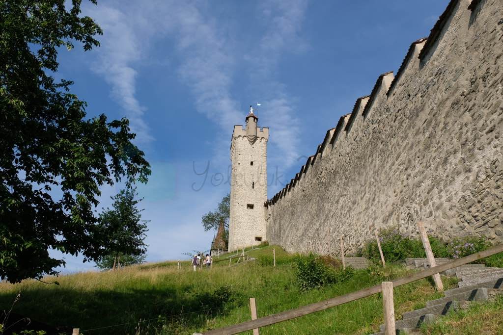 Museggmaurer