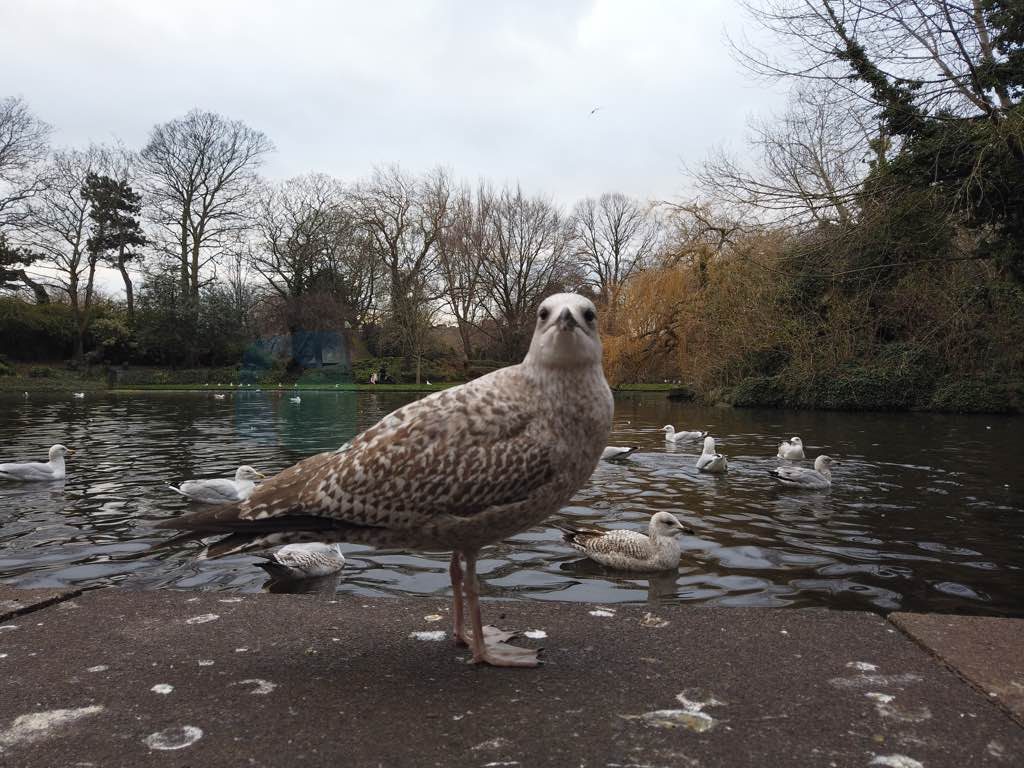 Dublin Gezi Rehberi