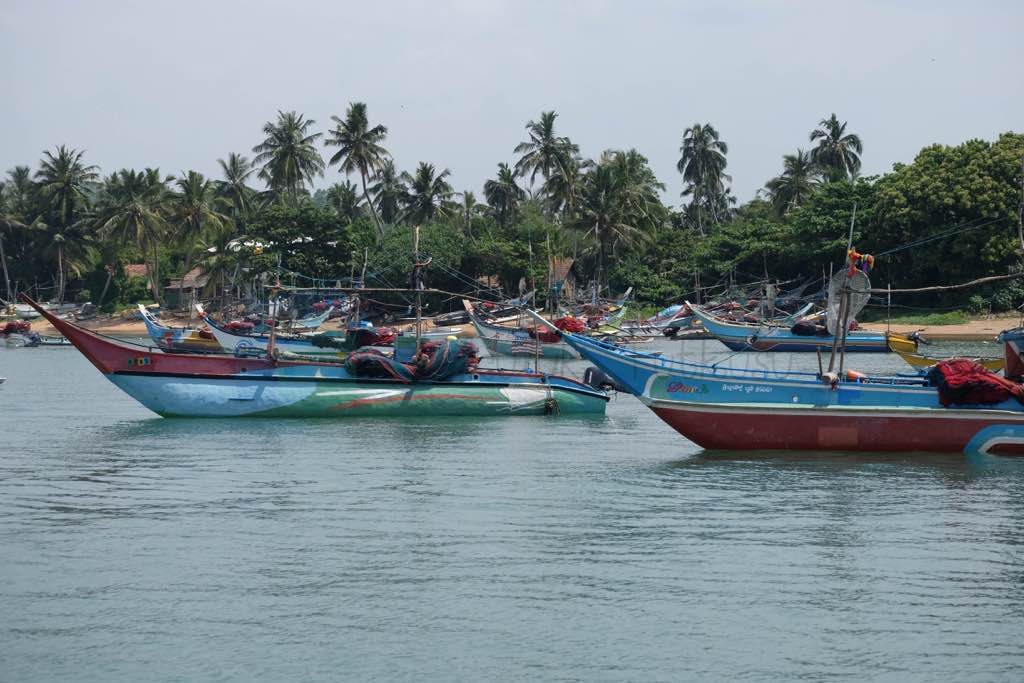 mirissa-sri-lanka