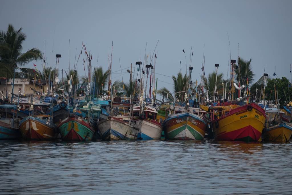 mirissa-sri-lanka
