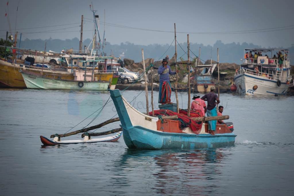 mirissa-sri-lanka