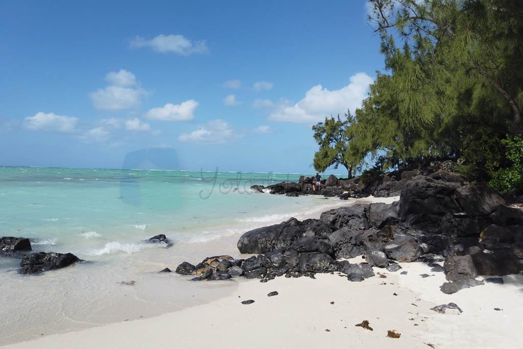 Ile Aux Cerfs adası katamaran turu Mauritius için önemli bir aktivite