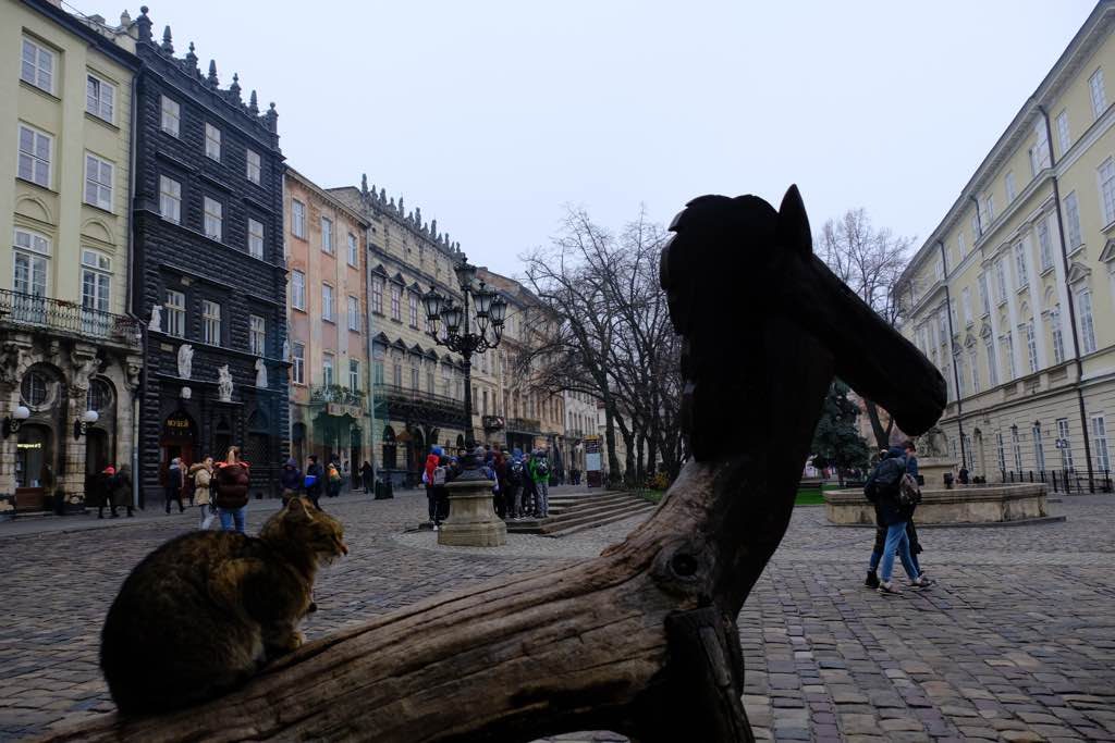 lviv rynok meydanı