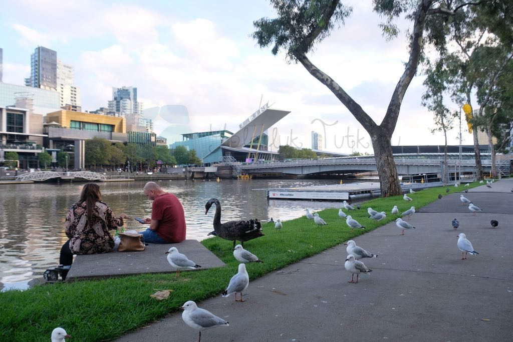 Yarra Promenade Melbourne un en keyifli noktalarından
