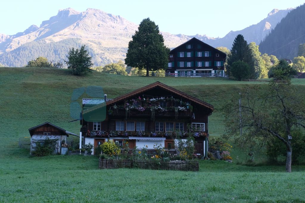 Grindelwald çok sakin bir İsviçre kasabası