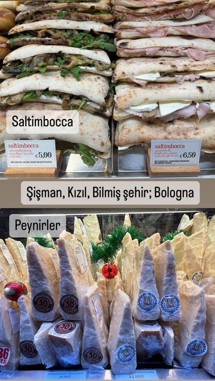 Bologna Gezi Rehberi