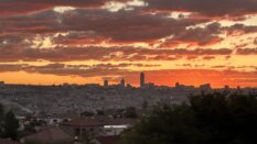 Johannesburg Gezi Rehberi