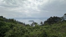 Ruanda Gezi Rehberi
