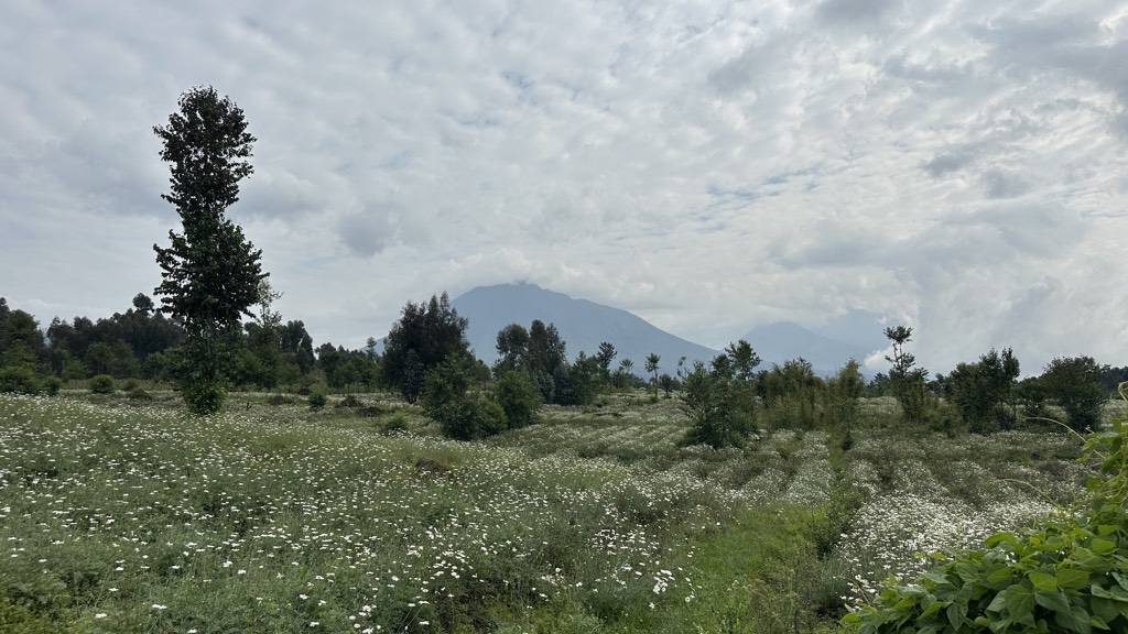 ruanda gezi rehberi