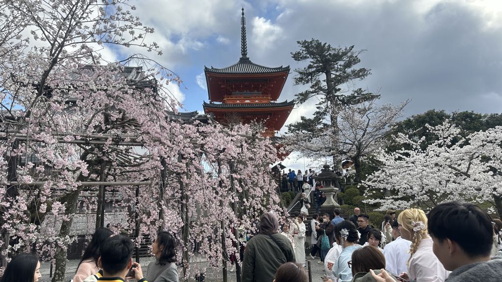 Kyoto gezi Rehberi