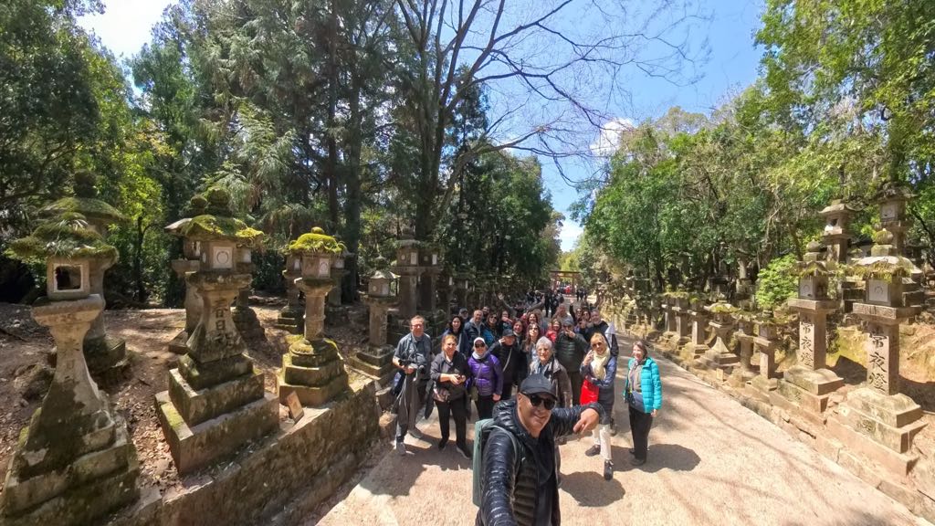 Nara Gezi Rehberi