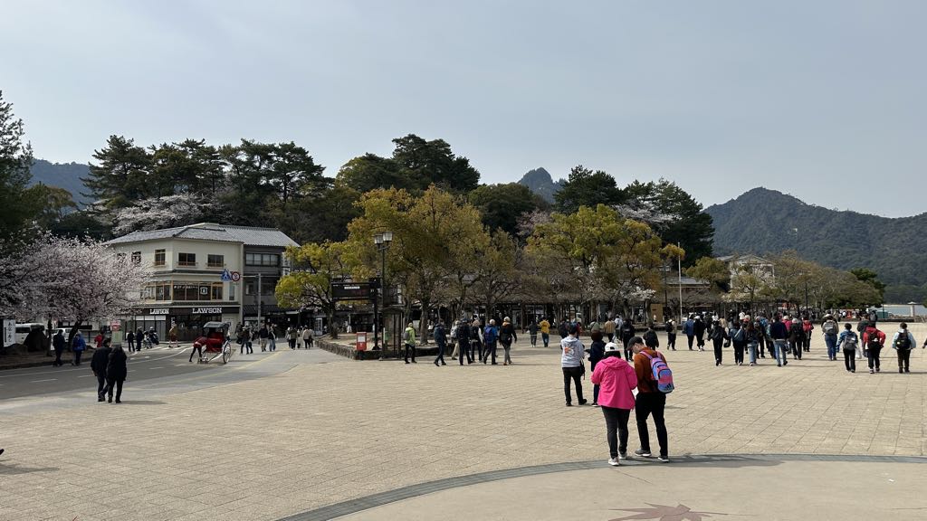 Miyajima Gezi Rehberi