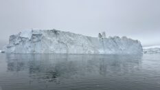 Grönland Gezi Rehberi