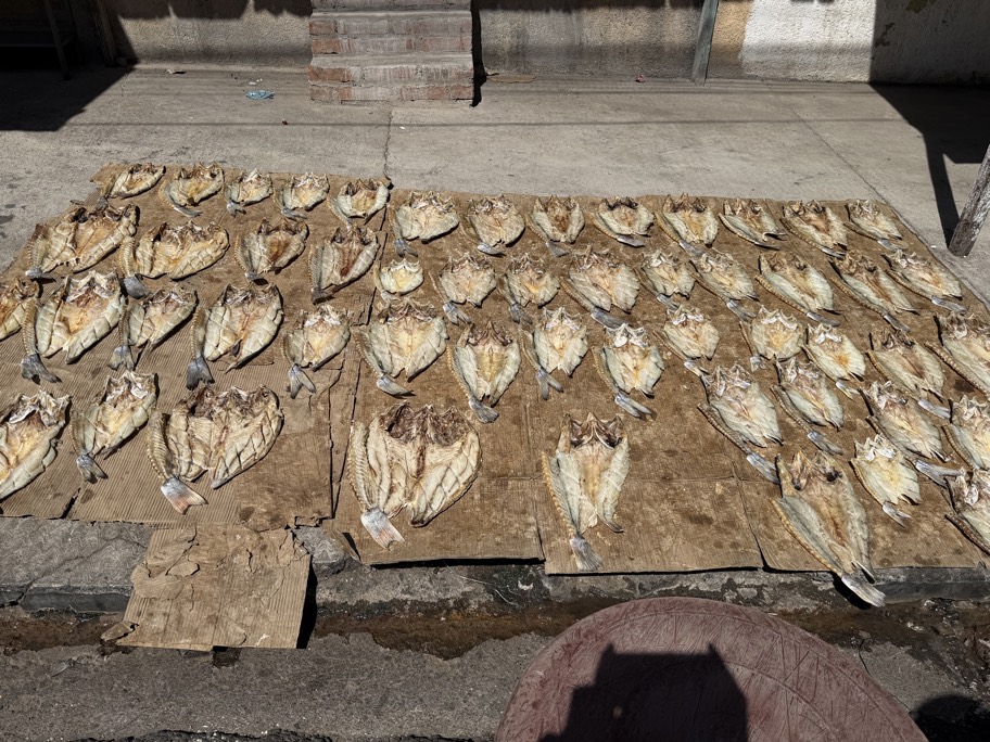 San Salvador Gezi Rehberi