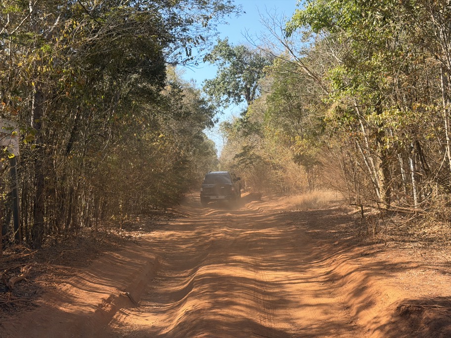 Madagaskar Gezi Rehberi