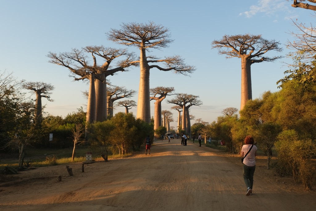 Madagaskar Gezi Rehberi